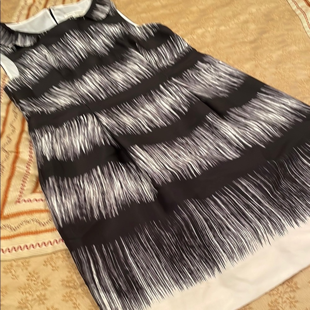 Banana Republic Elegant Black and White Women's Dress, front pockets, lined, 10